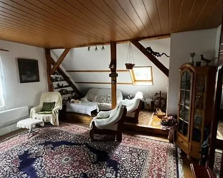 Mz Apartment